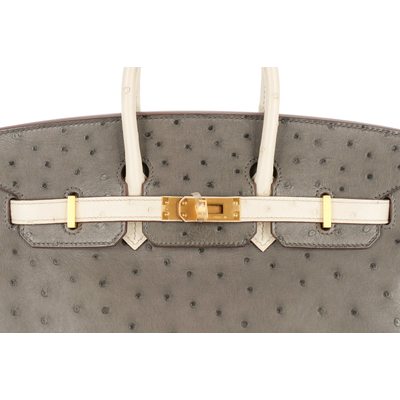 Hermès Birkin 25 Special Order HSS Graphite / Beton Ostrich BGHW