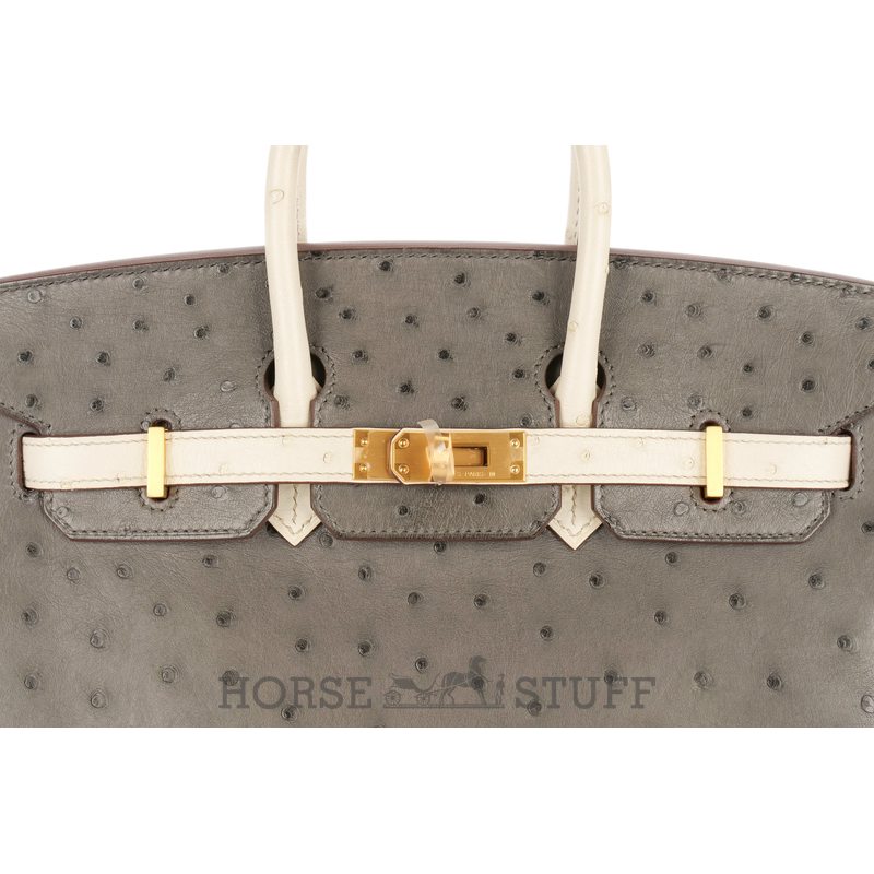 Hermès Birkin 25 Special Order HSS Beton / Gris Asphalt Ostrich BGHW