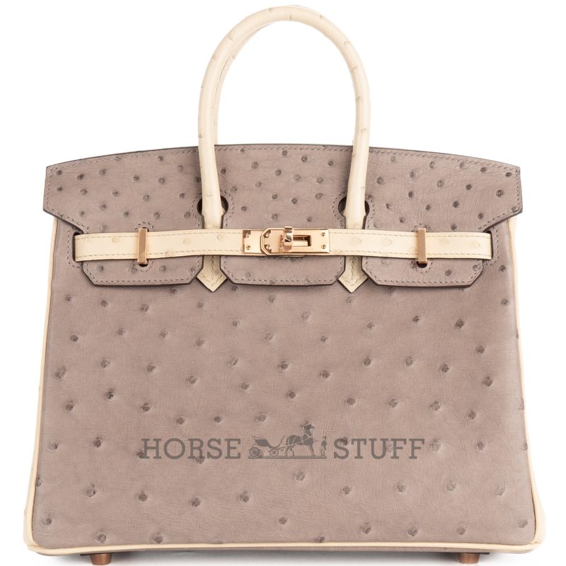 Hermès Birkin 25 Special Order HSS Beton / Gris Asphalt Ostrich BGHW