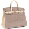 Hermès Birkin 25 Special Order HSS Beton / Gris Asphalt Ostrich BGHW
