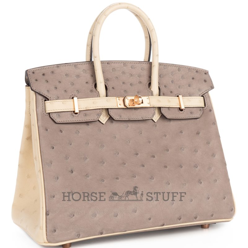Hermès Birkin 25 Special Order HSS Beton / Gris Asphalt Ostrich BGHW