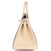 Hermès Birkin 25 Special Order HSS Beton / Gris Asphalt Ostrich BGHW