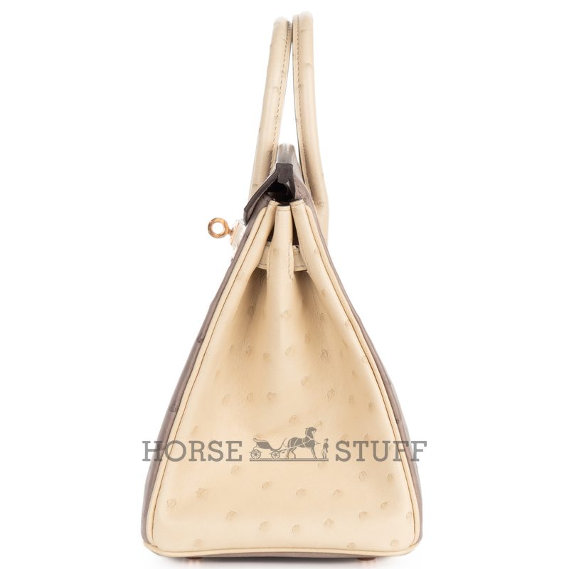 Hermès Birkin 25 Special Order HSS Beton / Gris Asphalt Ostrich BGHW