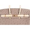 Hermès Birkin 25 Special Order HSS Beton / Gris Asphalt Ostrich BGHW