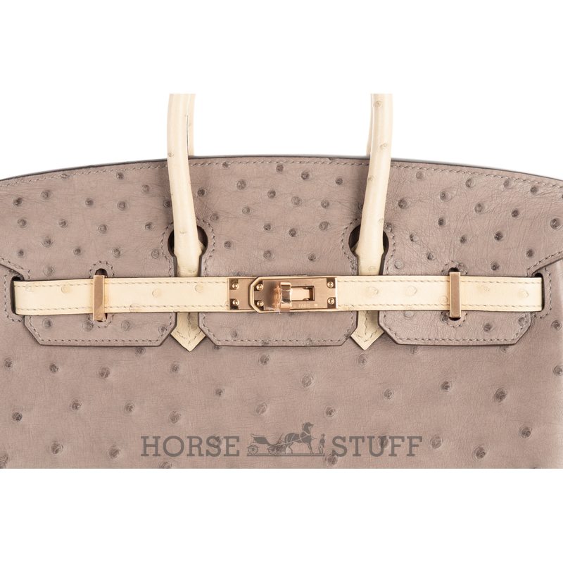 Hermès Birkin 25 Special Order HSS Beton / Gris Asphalt Ostrich BGHW