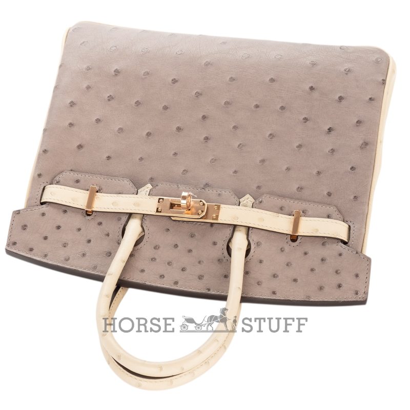 Hermès Birkin 25 Special Order HSS Beton / Gris Asphalt Ostrich BGHW