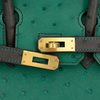 Hermès Birkin 25 Special Order HSS Vert Vertigo / Graphite Ostrich BGHW