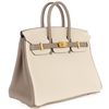 Hermès Birkin 25 Special Order HSS Black / Gris Perle Chevre BPHW
