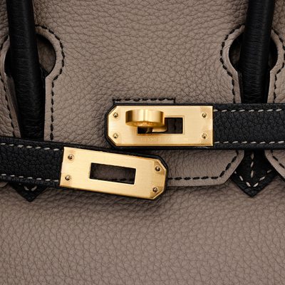 Hermès Birkin 25 Special Order HSS Etain / Black Togo BGHW