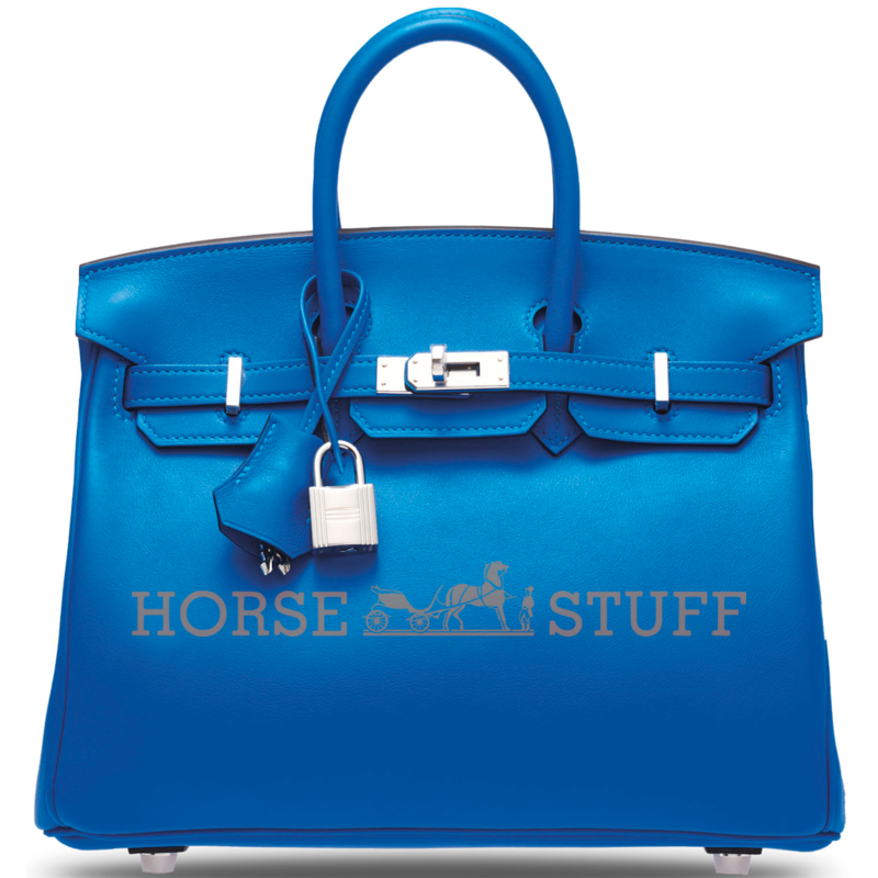 Hermès Birkin 25 Blue Hydra Swift PHW