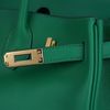 Hermès Birkin 25 Cactus Swift GHW