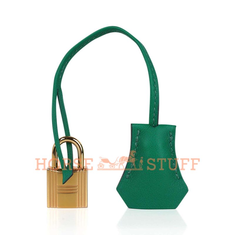 Hermès Birkin 25 Cactus Swift GHW