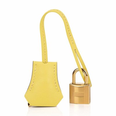 Hermès Birkin 25 Lime Swift GHW