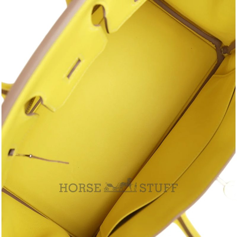 Hermès Birkin 25 Lime Swift PHW