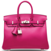 Hermès Birkin 25 Magnolia Swift PHW