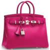 Hermès Birkin 25 Magnolia Swift PHW