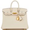 Hermès Birkin 25 Nata Swift GHW