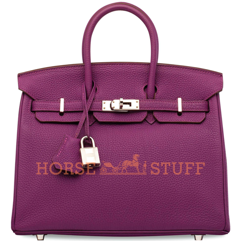 Hermès Birkin 25 Anemone Togo PHW