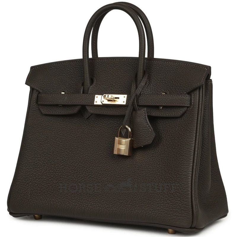 Hermès Birkin 25 Black Togo GHW