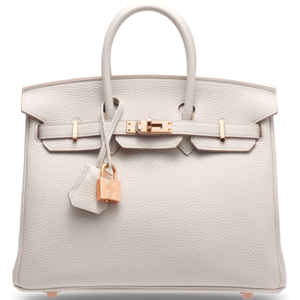 Hermès Birkin 25 Beton Togo RGHW