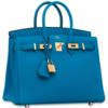 Hermès Birkin 25 Blue Hydra Togo GHW