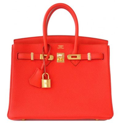 Hermès Birkin 25 Capucine Togo GHW