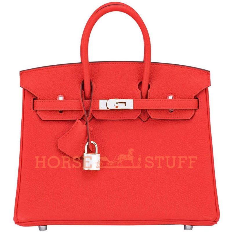 Hermès Birkin 25 Capucine Togo PHW