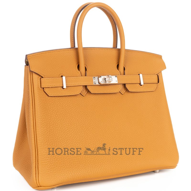 Hermès Birkin 25 Black Togo GHW