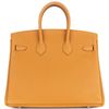 Hermès Birkin 25 Black Togo GHW