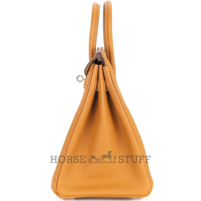 Hermès Birkin 25 Black Togo GHW
