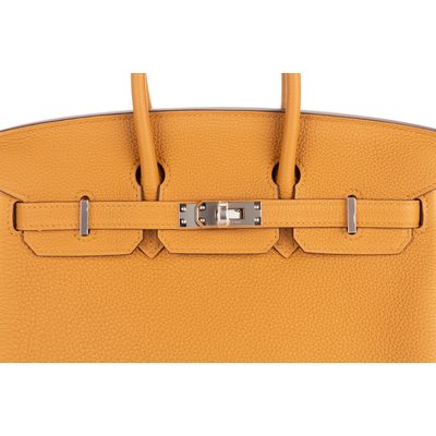 Hermès Birkin 25 Caramel Togo PHW