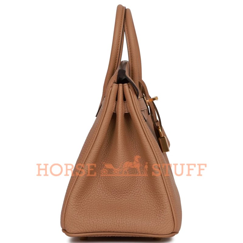 Hermès Birkin 25 Chai Togo GHW