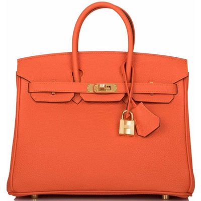 Hermès Birkin 25 Feu Togo GHW 