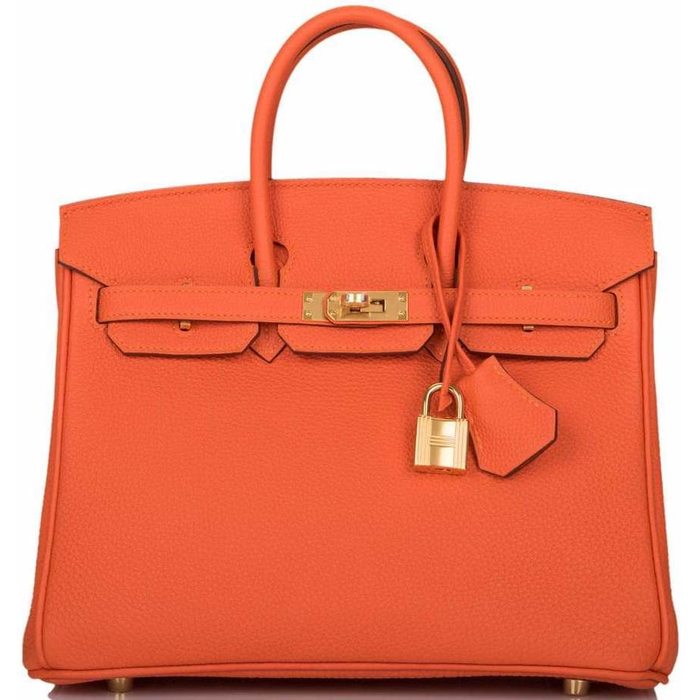 hermes birkin feu