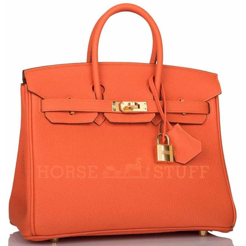 Hermès Birkin 25 Feu Togo GHW