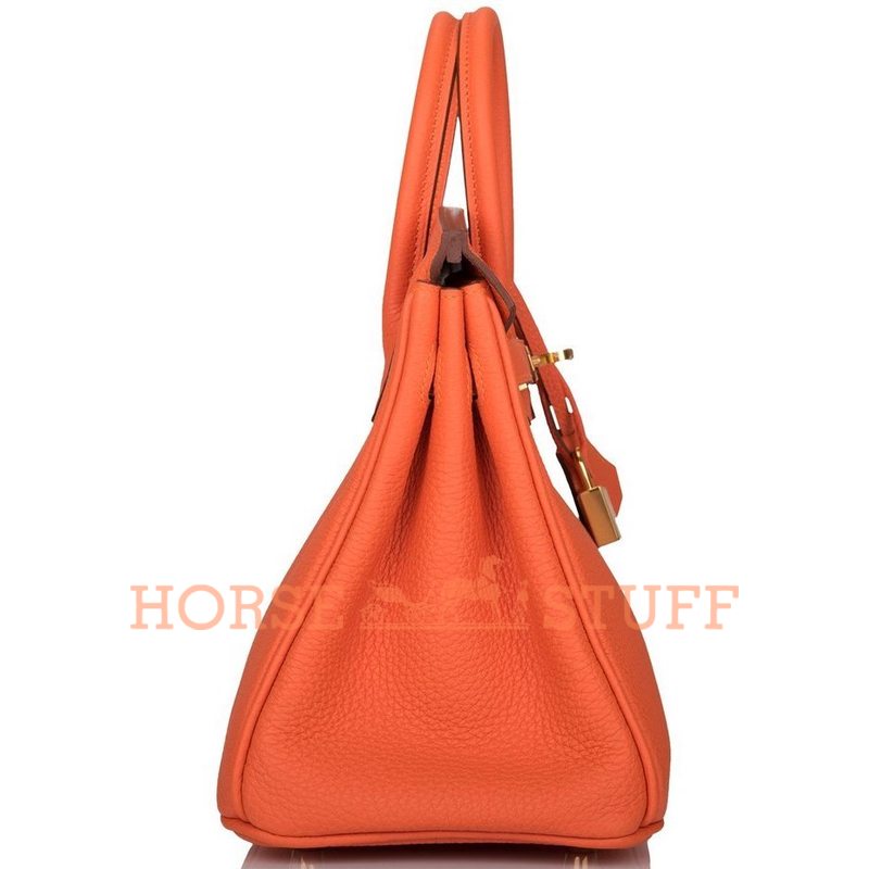 Hermès Birkin 25 Feu Togo GHW