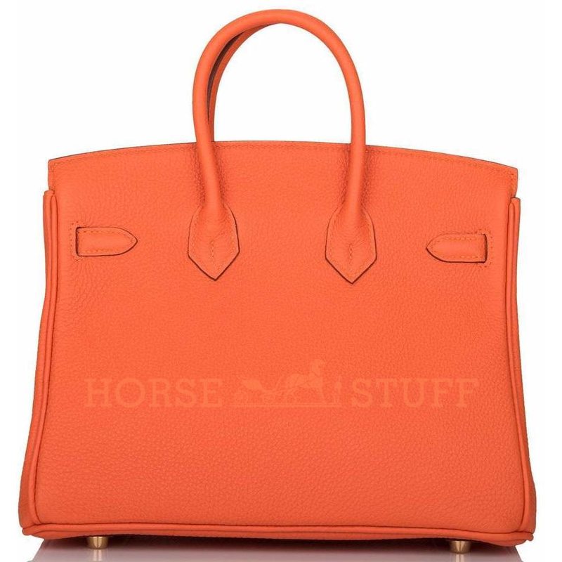 Hermès Birkin 25 Feu Togo GHW