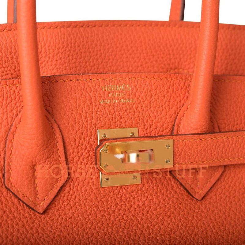 Hermès Birkin 25 Feu Togo GHW