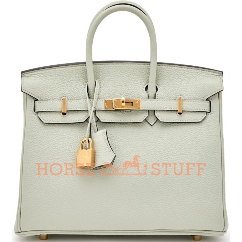 Hermès Birkin 25 Gris Neve Togo GHW