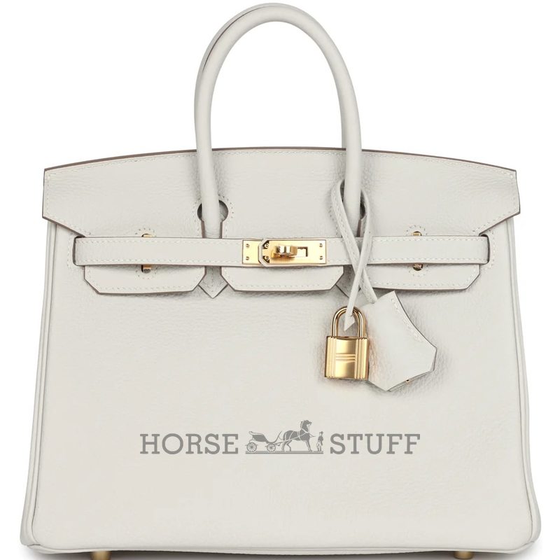 Hermès Birkin 25 Gris Pale Togo GHW