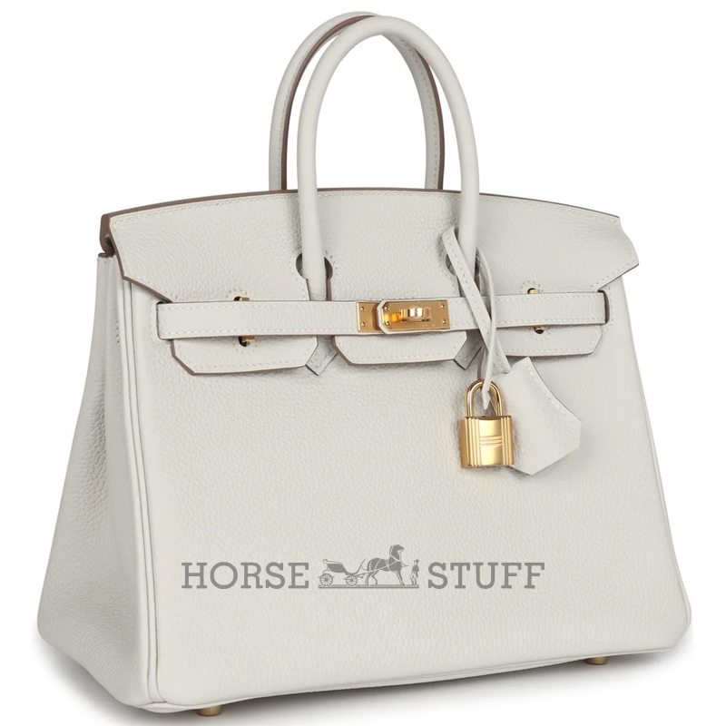 Hermès Birkin 25 Gris Pale Togo GHW