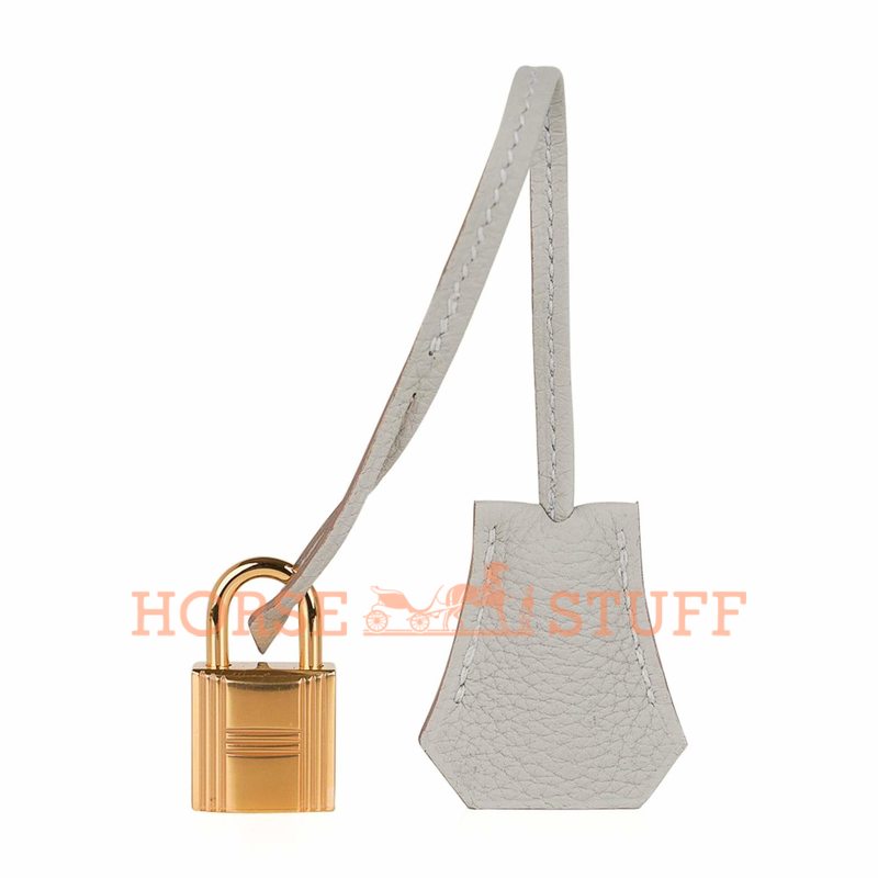 Hermès Birkin 25 Gris Perle Togo GHW