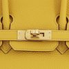 Hermès Birkin 25 Jaune Ambre Togo GHW