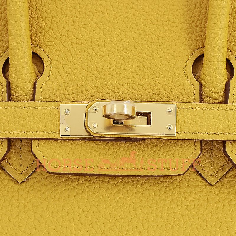 Hermès Birkin 25 Jaune Ambre Togo GHW