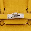 Hermès Birkin 25 Jaune Ambre Togo PHW