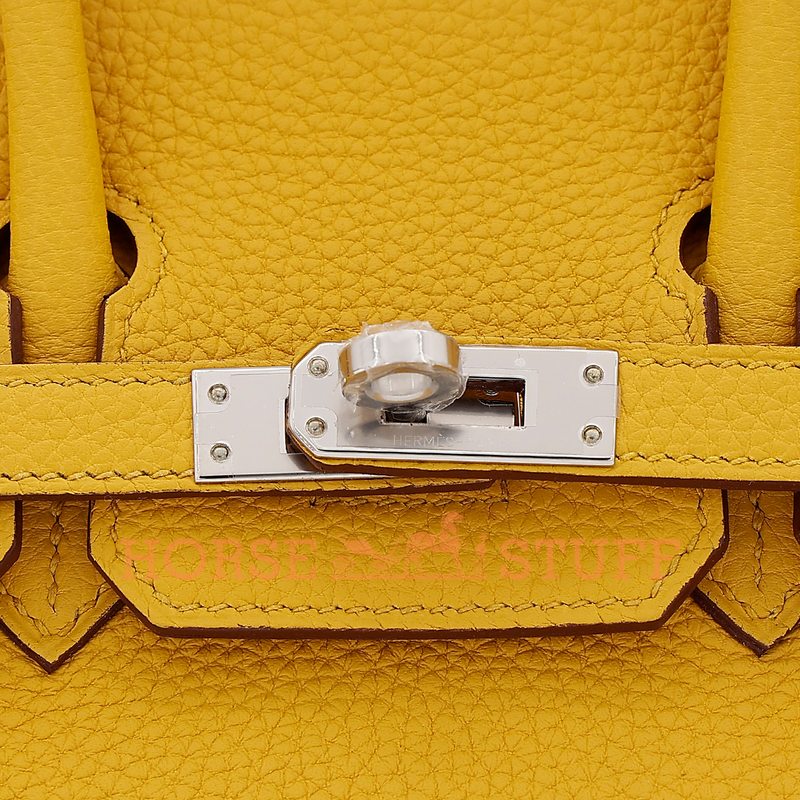 Hermès Birkin 25 Jaune Ambre Togo PHW