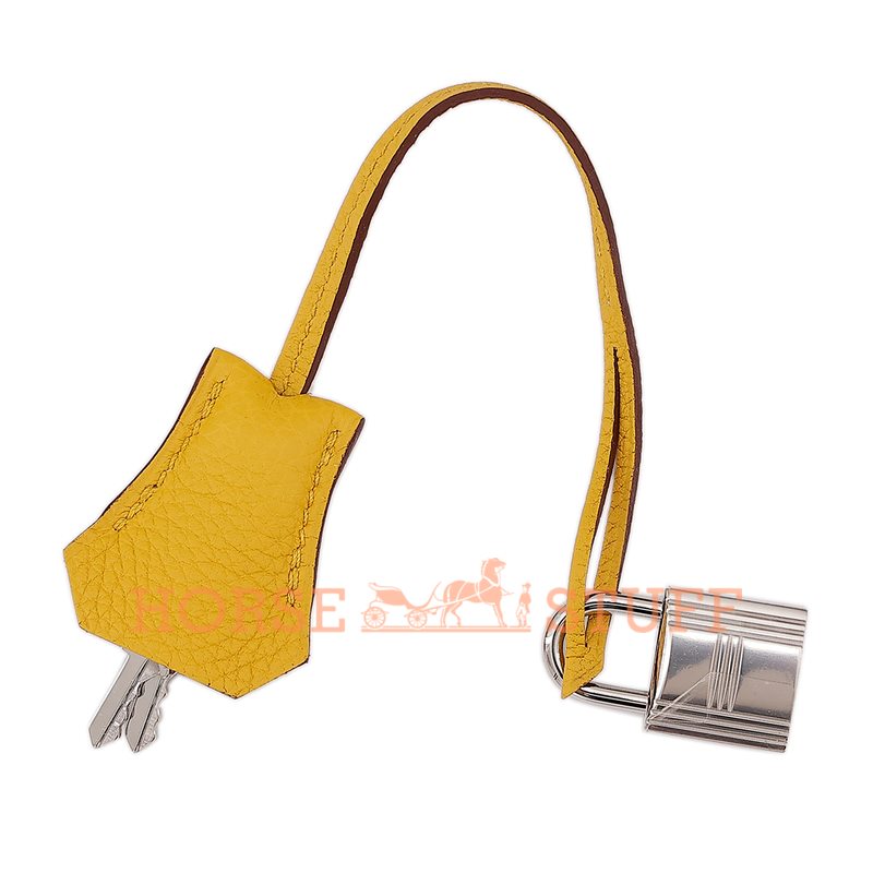 Hermès Birkin 25 Jaune Ambre Togo PHW