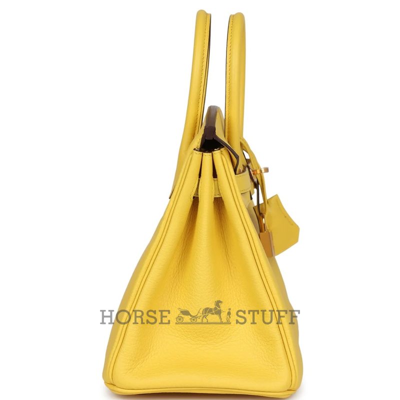 Hermès Birkin 25 Jaune de Naples Togo GHW