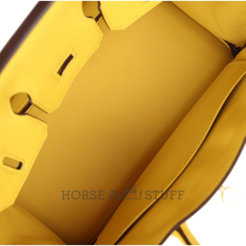 Hermès Birkin 25 Jaune de Naples Togo GHW