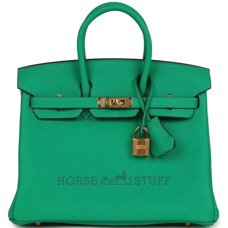 Hermès Birkin 25 Menthe Togo GHW